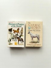 Carte da gioco cavallo, mai