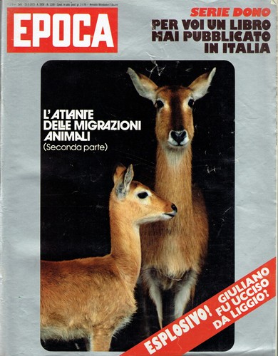1973/1180=ENNIO