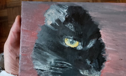 Dipinto gatto olio - gatto, su