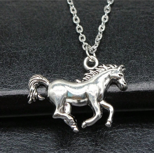 Cavallo colore argento - cavallo,