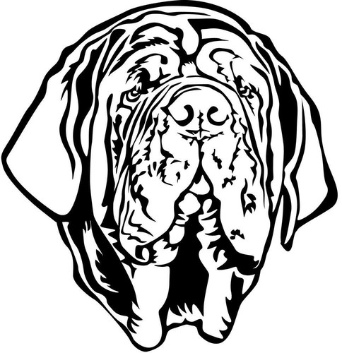 Adesivo mastino napoletano - adesivo,