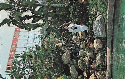 Cartolina universal city - cartolina,
