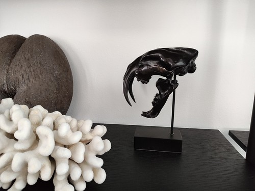 Scultura bronzo teschio - scultura,
