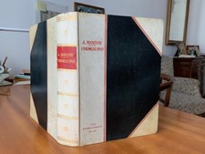 I Promessi Sposi-La Storia