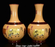 Coppia di vasi bottiglia