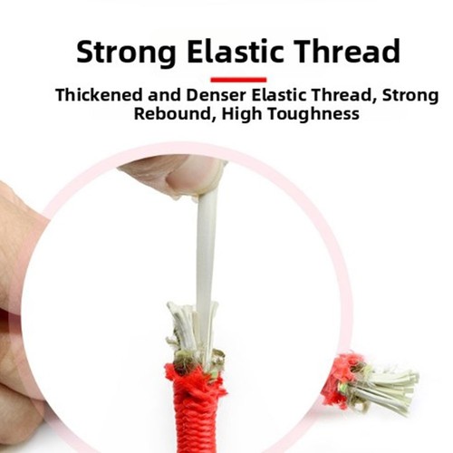 Cinghia elastica elastica