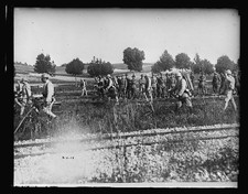 Francia 1917-1920 Truppe