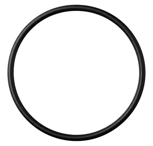 Ring tenuta pompa carburante - o-ring,
