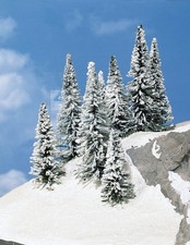 HEKI 2160 - 8 abeti innevati