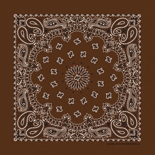 Bandana paisley cacao - paisley, in