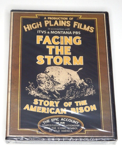 Facing the storm - storm:, of