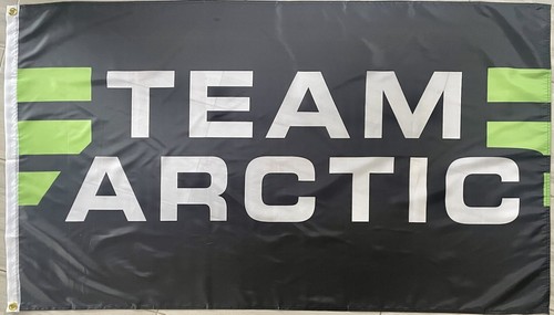 Arctic cat vintage flag - cat, banner