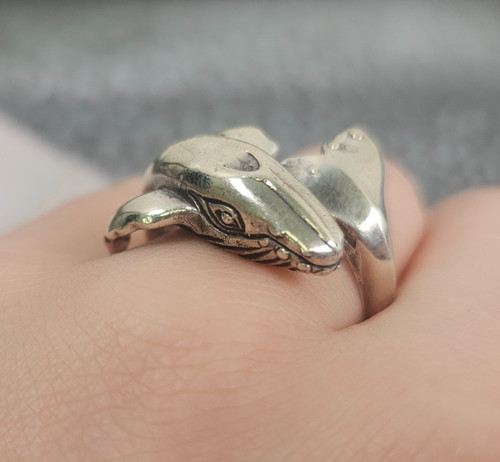 Anello avvolgente balena gobba