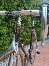 1983 Vintage Daccordi 50th