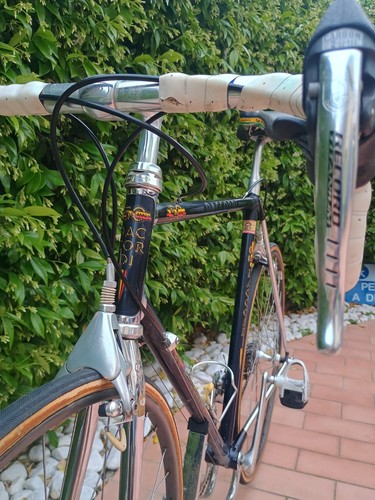 1983 vintage daccordi - vintage, 50th