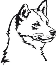 Adesivo SHIBA INU - adesivo