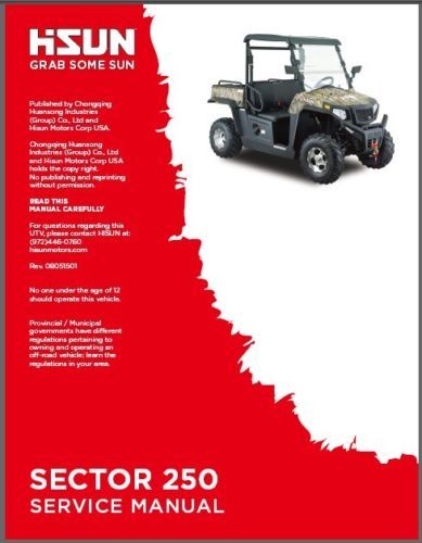 Hisun sector 250 servizio - 250,