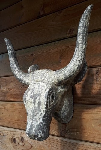 Teschio toro legno - di, cm