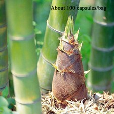 100 Semi Commestibili Di