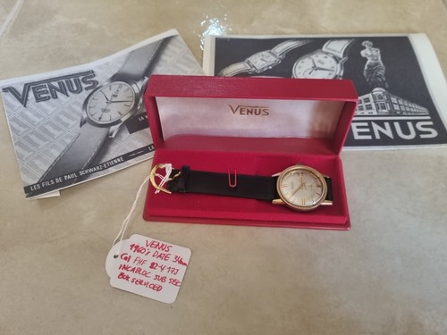 Venere anni 34mm - venere,