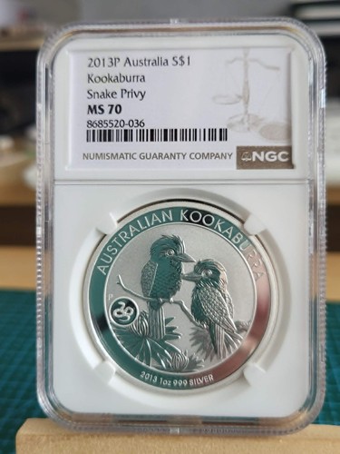 2013 australia kookaburra - 2013,