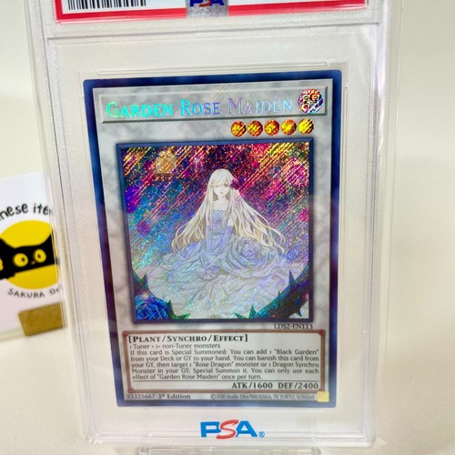 Psa 8 garden rose - 8,