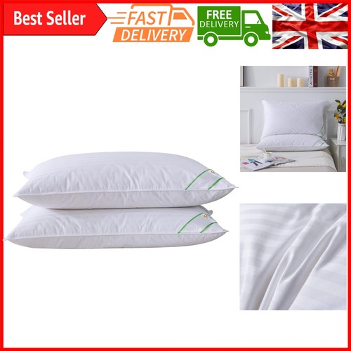 Luxury goose feather down - &,