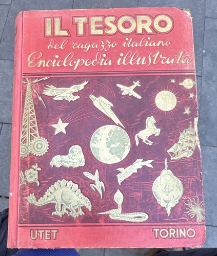 Utet tesoro del ragazzo - del,