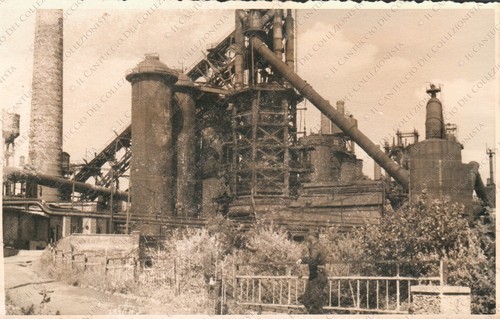 Rikovo campagna russia csir - rikovo,