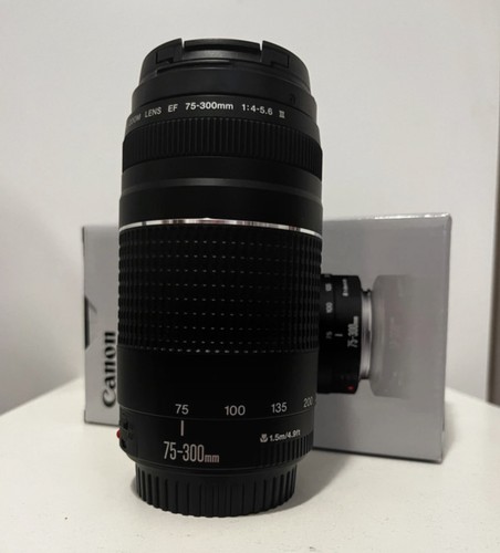 Canon 300mm 5 6 zoom - f/4-5.6,