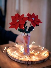 Stella di Natale fatta all’