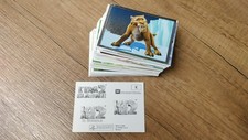 LOTTO DI 131 FIGURINE PANINI