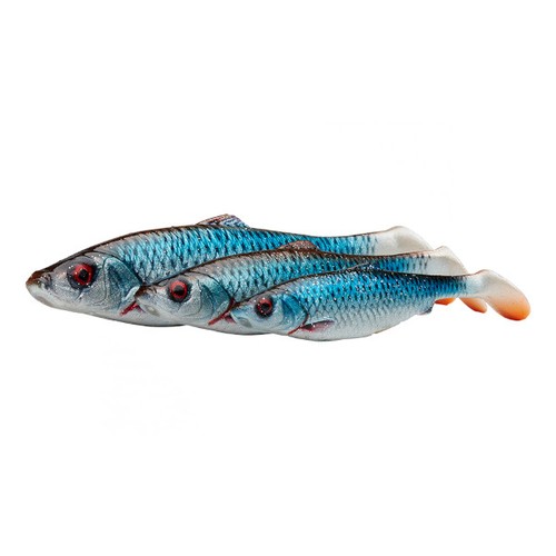Esche gomma silicone herring - gomma,