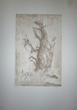 Pierre Zucchelli gravure