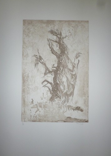 Pierre zucchelli gravure - zucchelli,