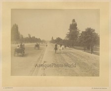 Parigi Legno De Boulogne