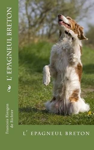 Epagneul breton francois - epagneul,
