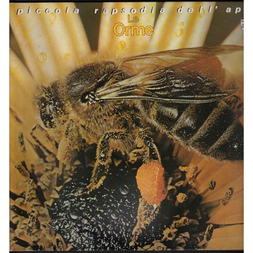 Orme vinile piccola - vinile,