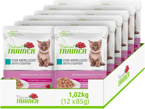 Natural kitten young cibo - kitten,