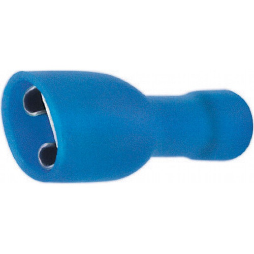 Faston femmina isolato - femmina,