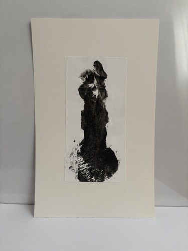 Impronta pene arte - arte, erotica
