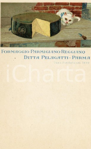 1900ca parma ditta pelagatti - parma,