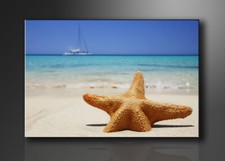 Quadro su tela Quadri moderni