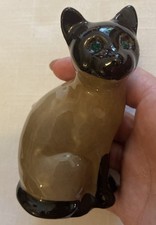 1960s Seal Point Siamese Cat