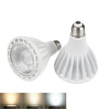 Lampadina LED 30W PAR30