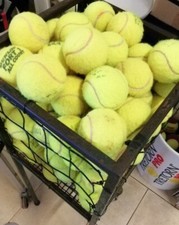 Offerta 100 palline da tennis USATE. Pilates, Posturale gioco cani.