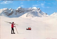 AL17-28D) CARTOLINA ALPE DI FANES GATTO DELLE NEVI ANIMATA VIAGGIATA BOLZANO