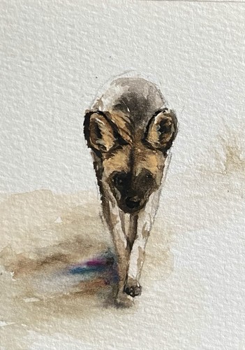 Aceo dipinto originale - dipinto,