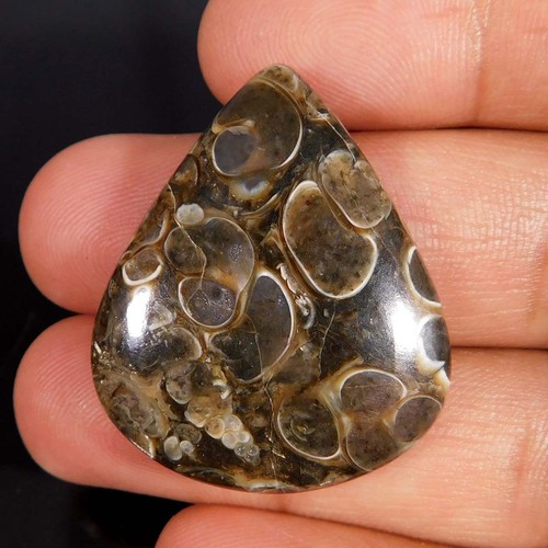 Cabochon pera fossile - cabochon,