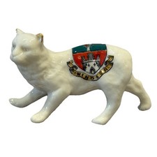 Gatto crestato Cina gatto
